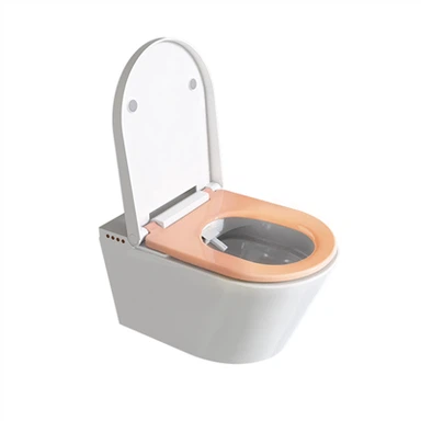 Bidetové WC s ohřívanou vodou