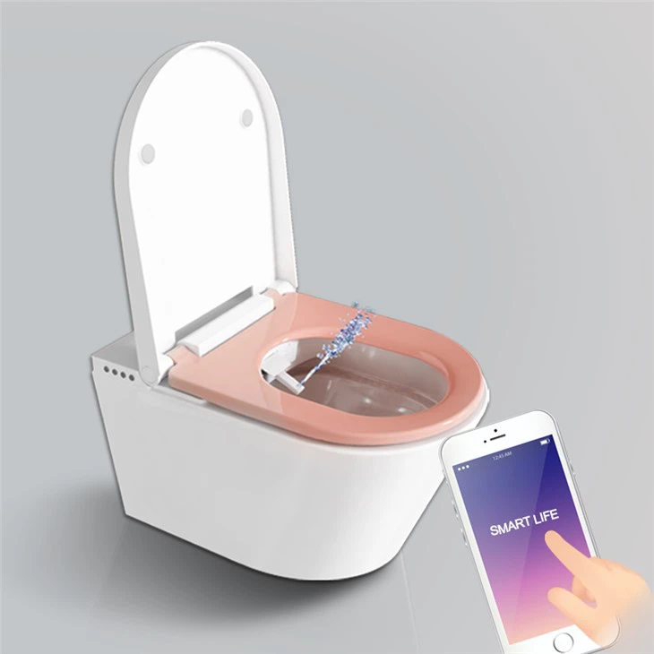 Chytré WC S Bidetem