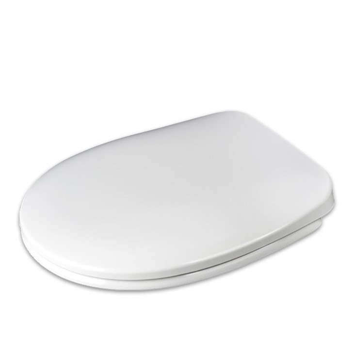 1 fancy-toilet-seat